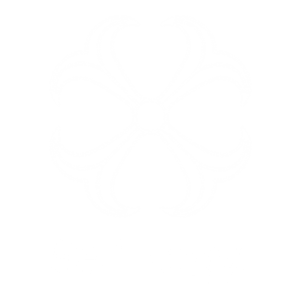 Selfology.